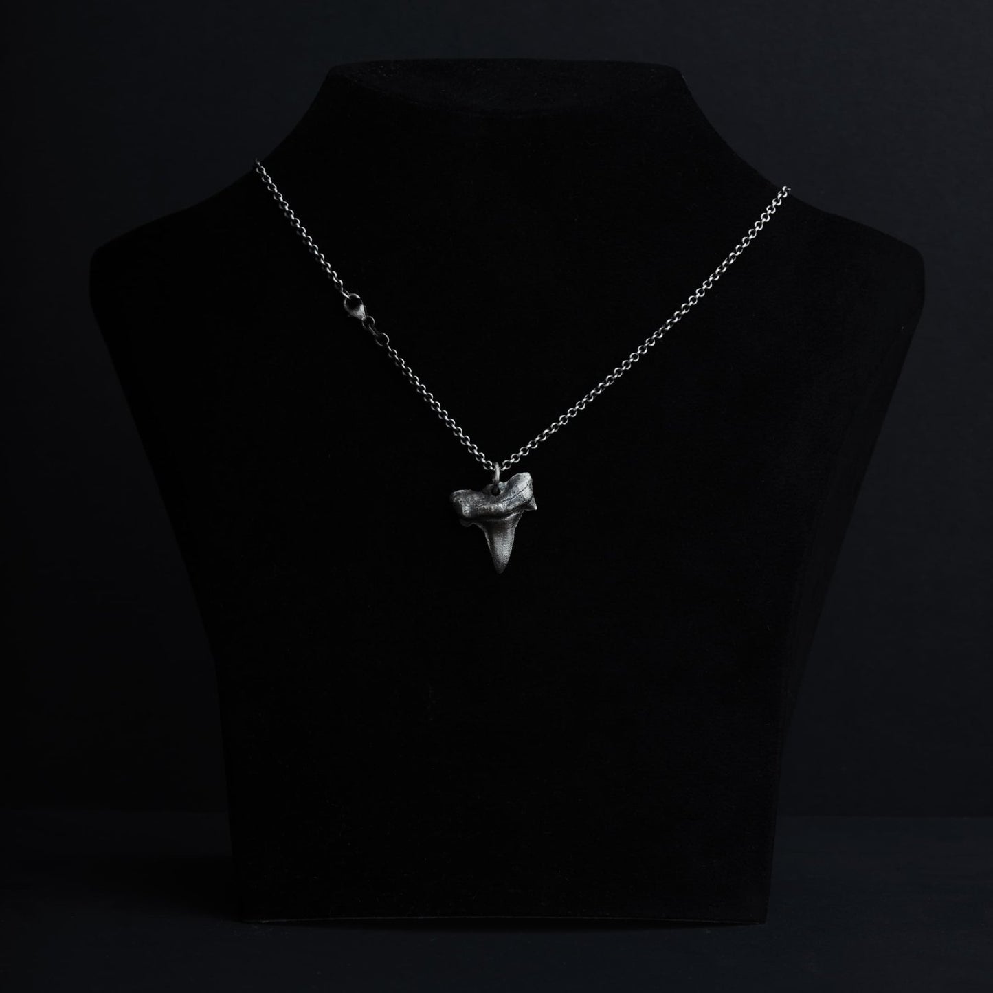 Halskette aus Silber mit Haizahn Anhänger